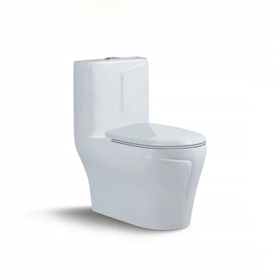 Ett stycke keramisk badrumstoalett